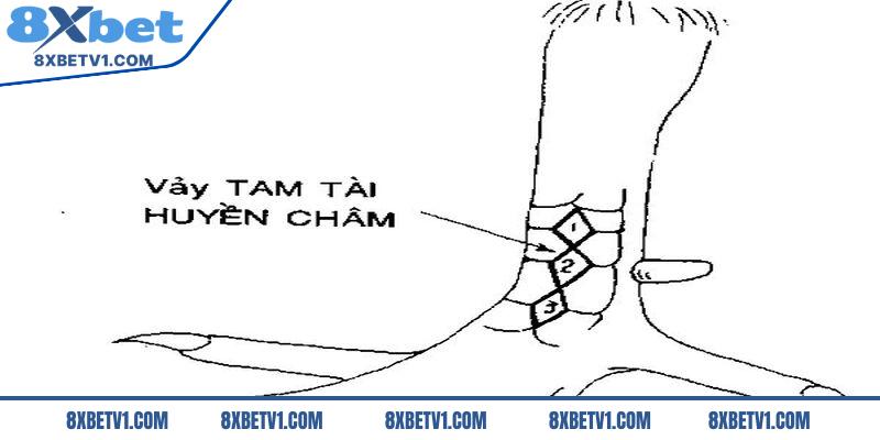 Vảy tam tài huyền châm